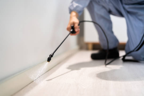 Licensed Pest Control service in North Auburn, CA - Show Me Pest Control